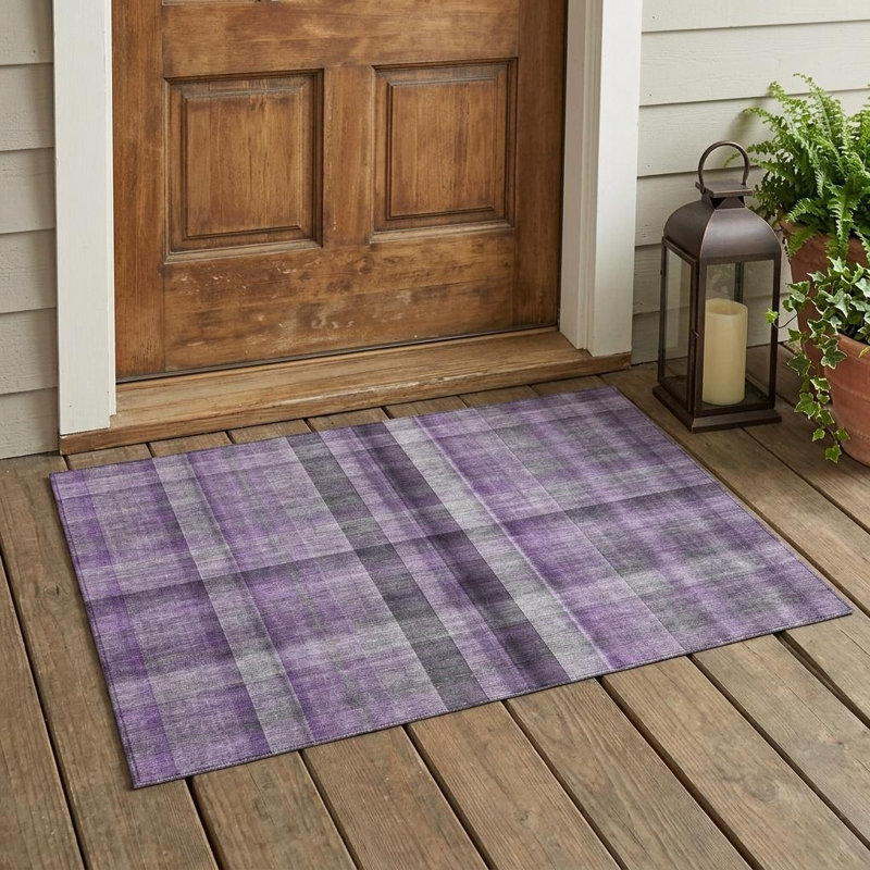 Tapis intérieur lavable antidérapant 3 pi x 5 pi mauve