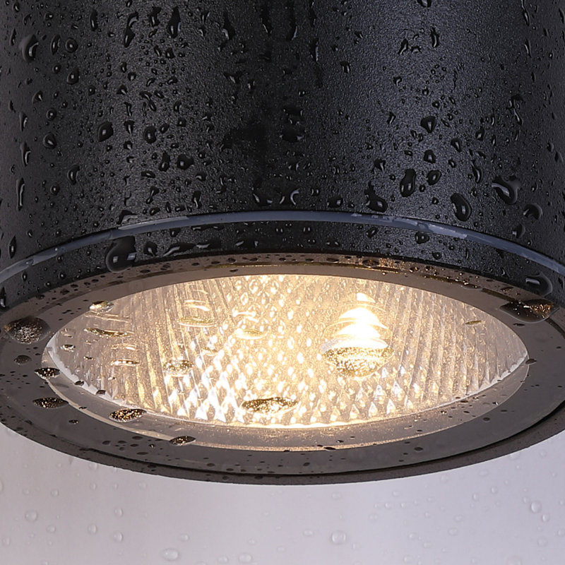 Ivy Bronx Carmecia 12'' H Integrated LED Round Up Down Wall Light ...