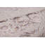 Tapis traditionnel turc beige 7 x 10