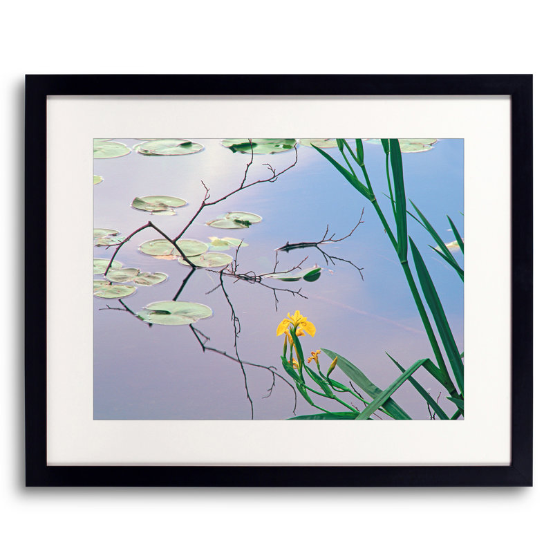 Iris And Lily Pad Design Print by Bruce Heinemann