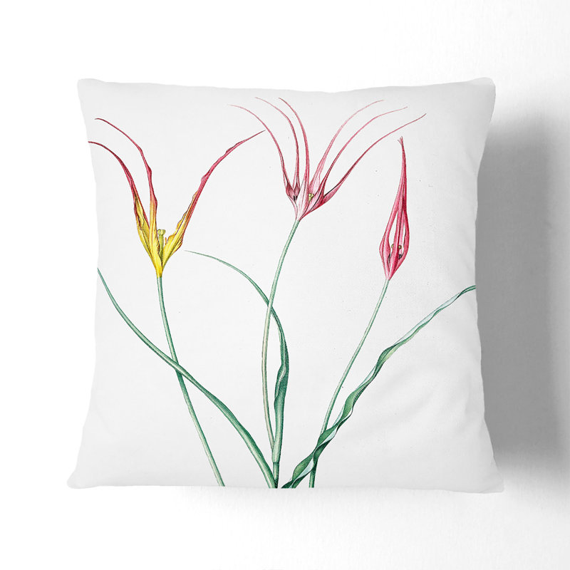 Square Throw Cushion, Black, 40cm H x 40cm W x 15cm D