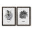 B&W d'intérieur plante I - ensemble de 2 reproductions de dessins-728781680-728781694