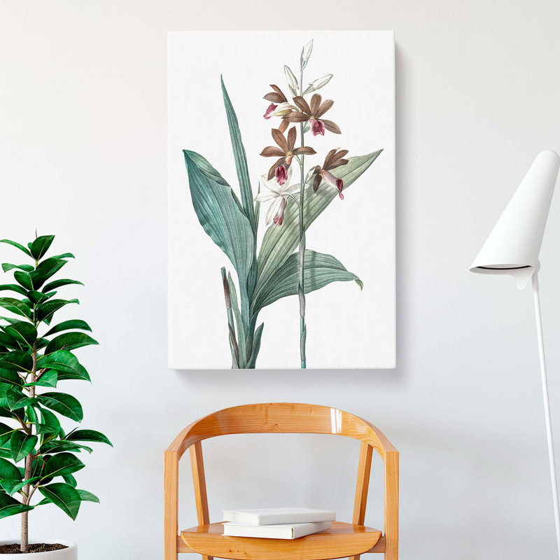 Limodorum Orchid Flowers by Pierre-Joseph Redoute - Wrapped Canvas, 60cm H x 40cm W x 3cm D
