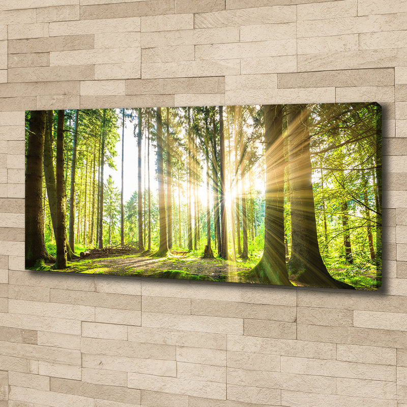 Forest In The Sun - No Frame Print on Glass, Canvas, 50cm H x 125cm W x 2cm D