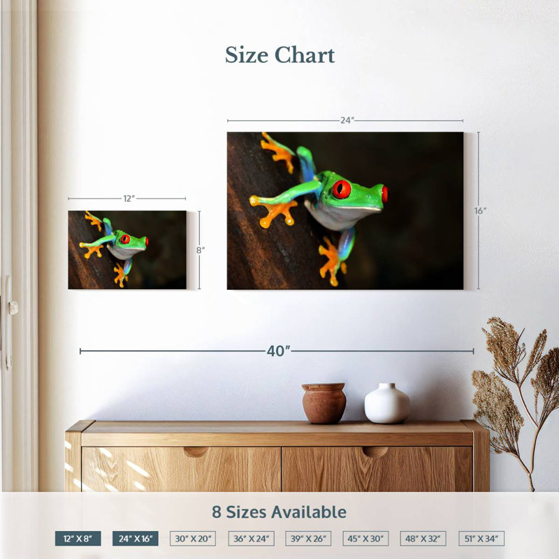 Brampt Tiny Red-Eyed Tree Frog, 16" H x 24" W