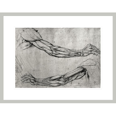 Study of Arms by Leonardo da Vinci -Framed Giclee Print