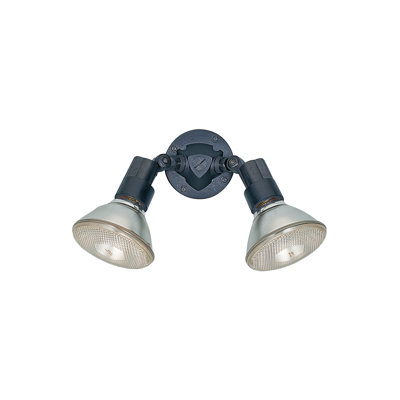Two Light Adjustable Swivel Flood Light from Generation Lighting 