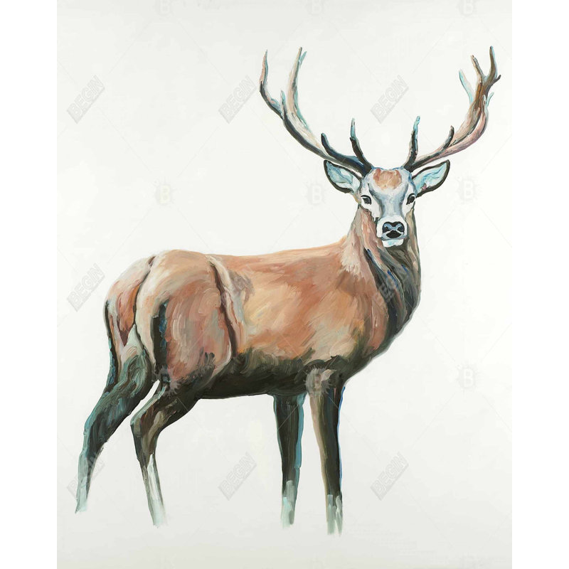 " Deer "