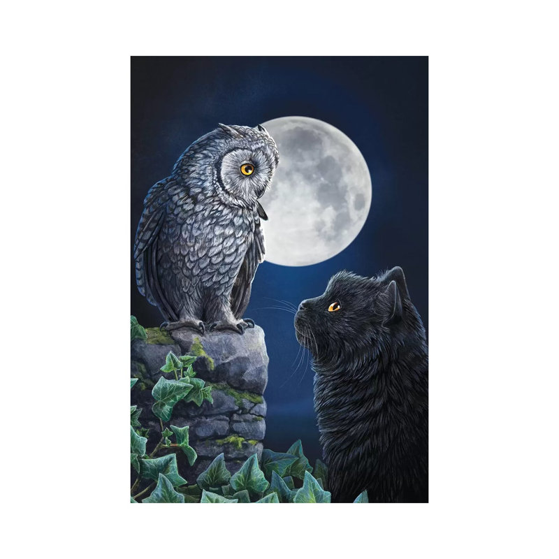 Purrfect Wisdom by Lisa Parker - Wrapped Canvas Print, 20.32 cm H x 30.48 cm W