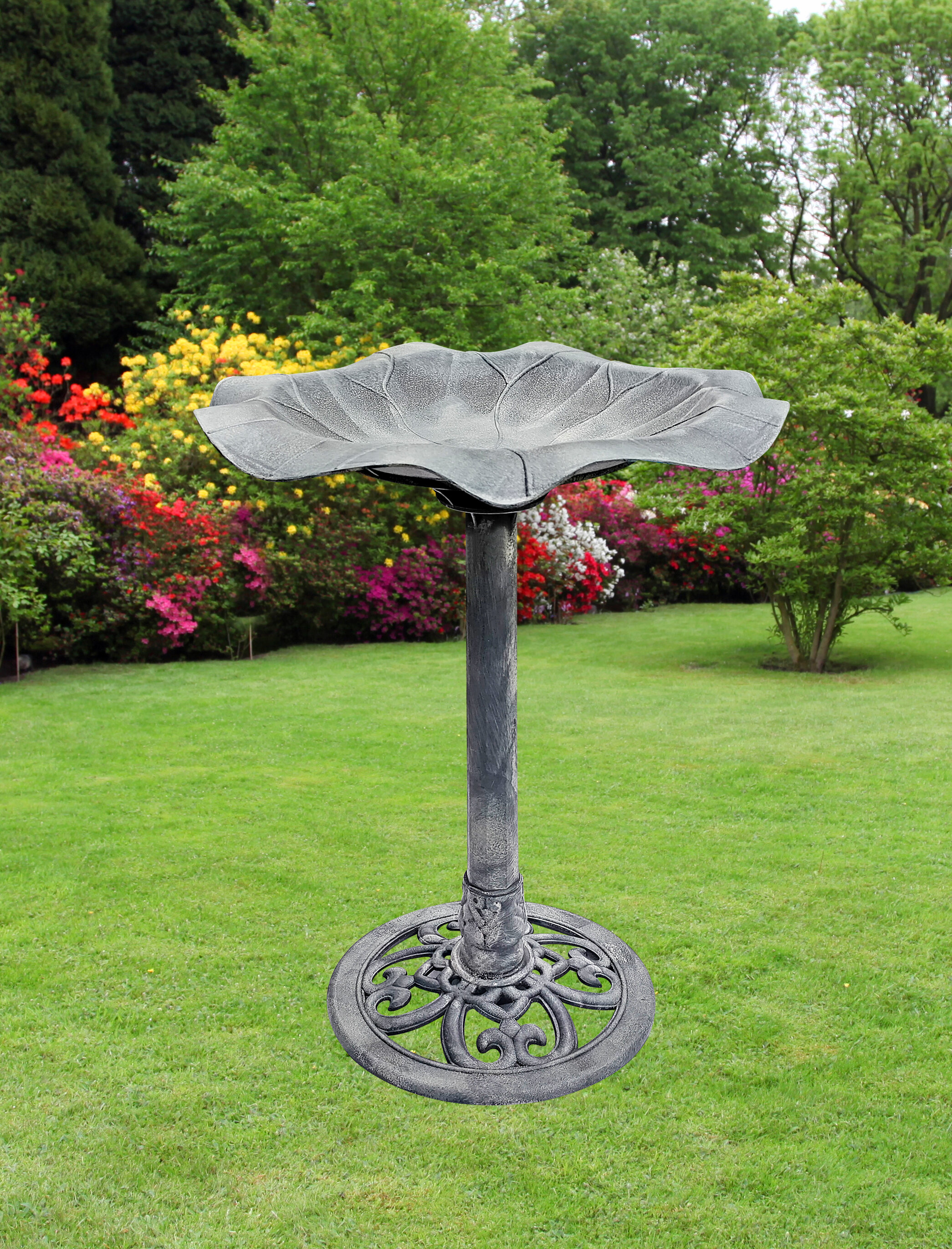 Ophelia & Co. Manzi Birdbath | Wayfair