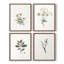 «Vintage Floral Print», impression encadrée CLxxvi - ensemble de 4-984176393-984176398