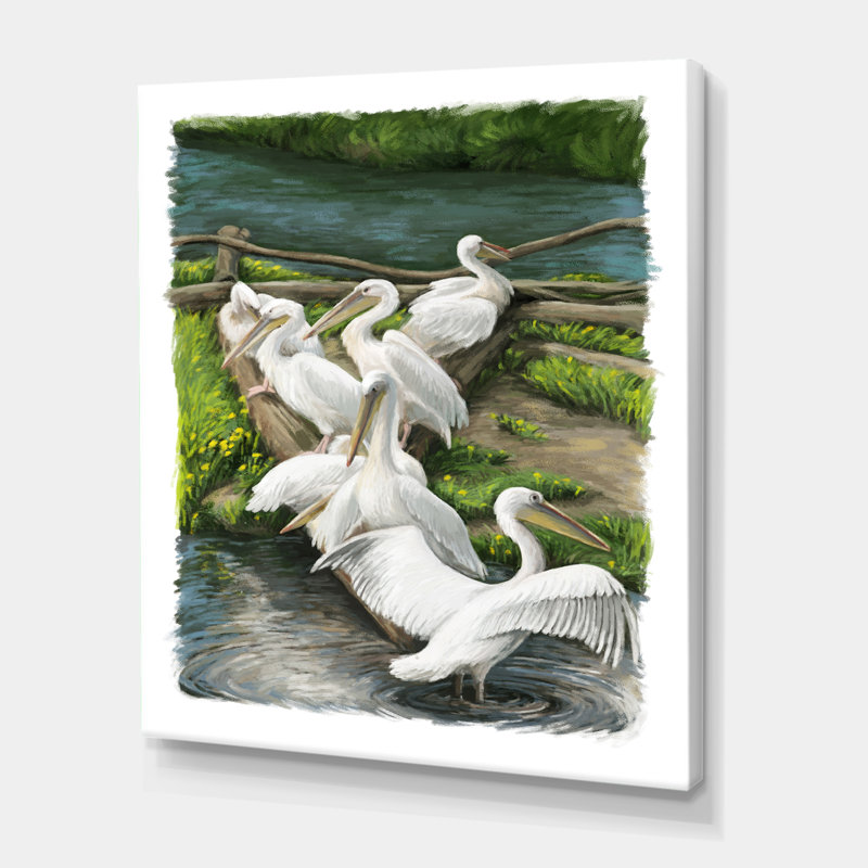 Dessin de pélicans reposant près de l'eau - Impression sur toile, H 32 po x l 24 po x P 1 po, Toile tendue