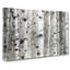 Silver Birch Tree Forest - Wrapped Canvas Painting-55318751