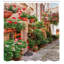 Ensemble de rideau de douche et crochets italiens-44242497