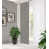 in Grey selected