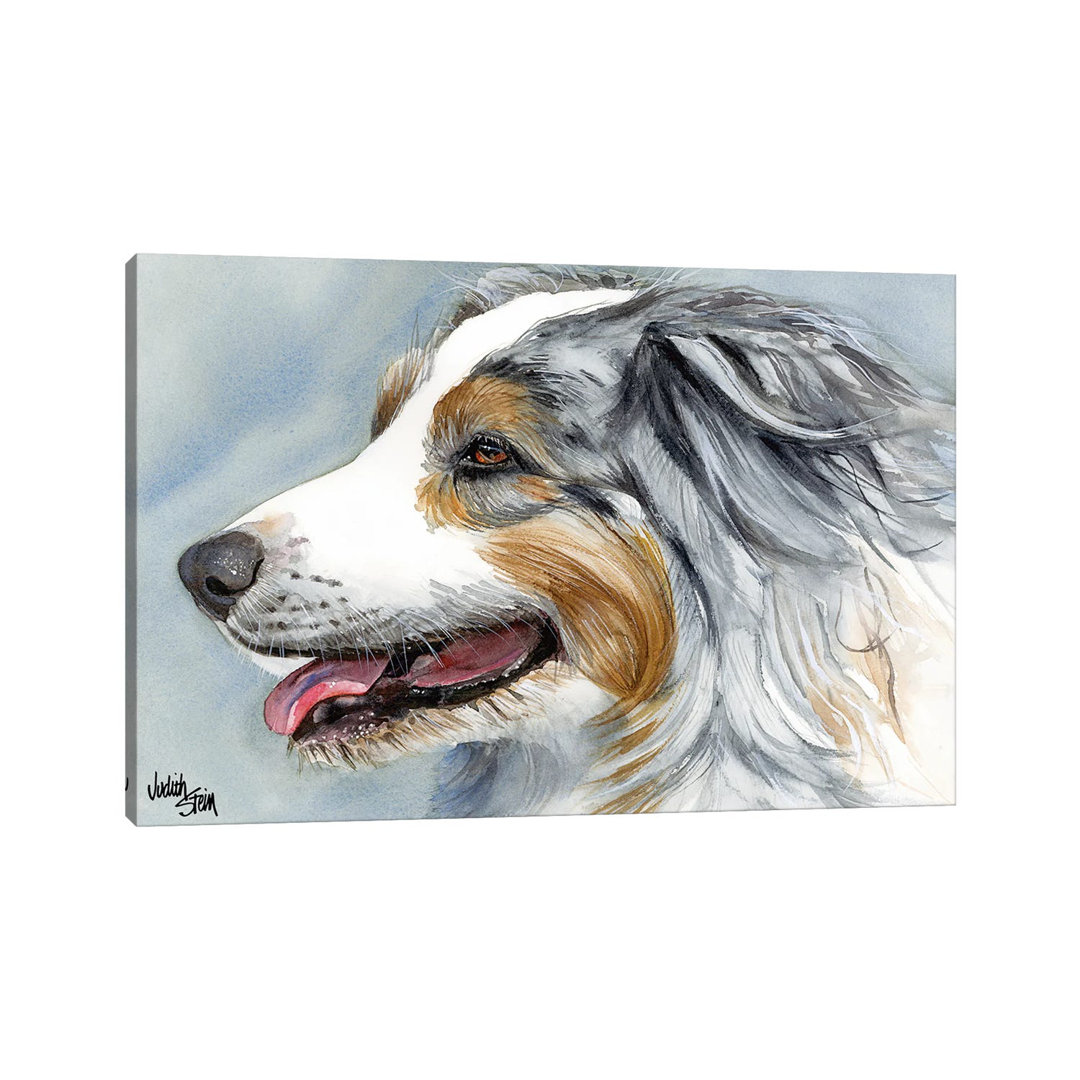 Blue Merle Aussie - Australian Shepherd by Judith Stein - Wrapped Canvas Painting