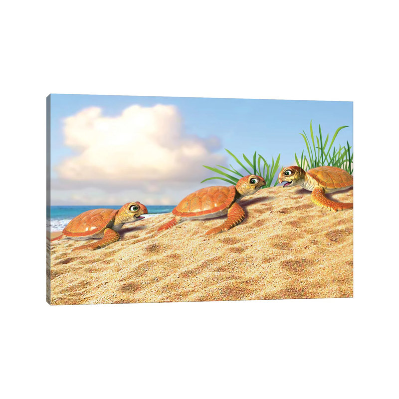 Bébé tortue, H 8 po x l 12 po x P 0,75 po