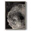 ABSTRACT Series CCIV, reproduction encadrée - bois massif-2049374992