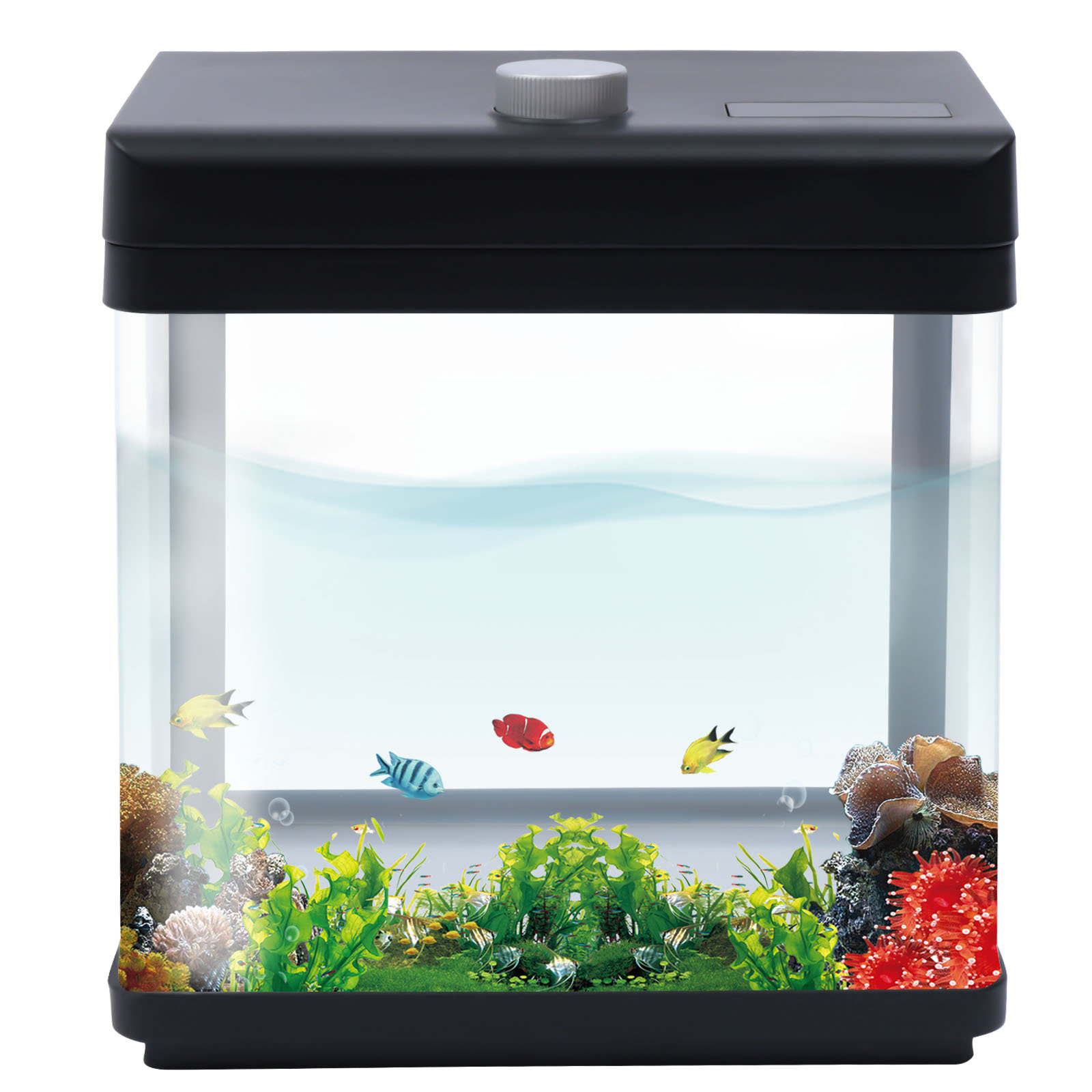 Tucker Murphy Pet™ Caedence 1.5 Gallon Aquarium Tank with LED Light ...