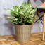 Pot à fleurs décoratif en osier 13,4 "pour l'intérieur et l'extérieur - Rond - Naturel
