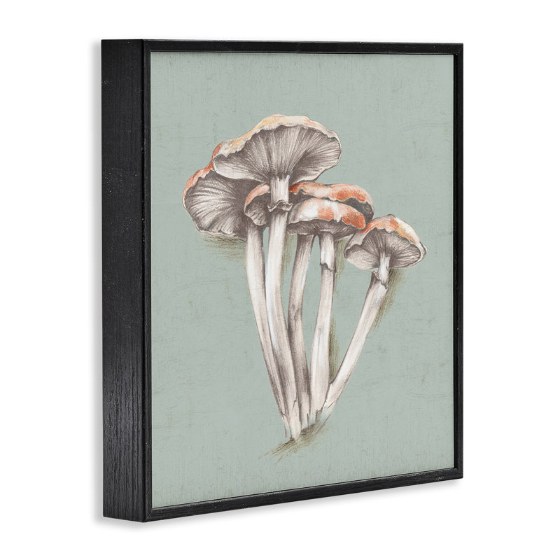 Dessin de champignon blanc, estampe numérique par Eli Jones, Giclée encadrée noir minuit, H 24 po x l 24 po