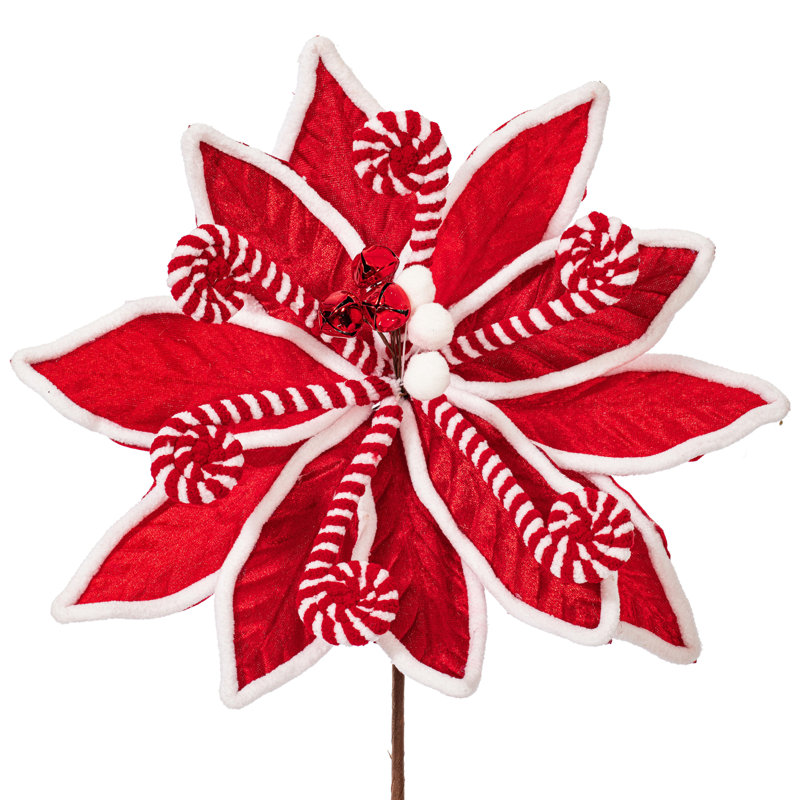 Tiges de poinsettia