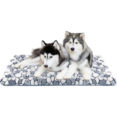 Frachia Canvas Pet Bed
