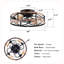 Ventilateur de plafond encastré en cage 20 po avec télécommande, finition noir mat et or Farmhouse