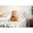 Wildlife Wonderland Bedsheet Set-712070926