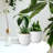Plant Pots Indoor with Drainage-2099958487