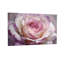 «Plants & Flowers Soft Rose Rose», reproduction d'art sur toile Z251224084240944166-1408896085