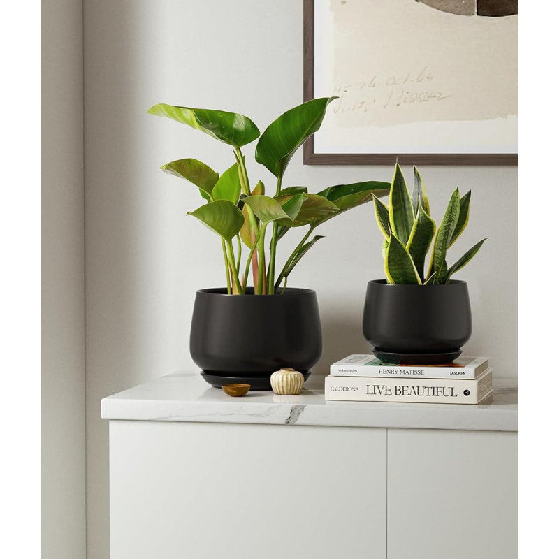 Ceramic Pot Planter, Black