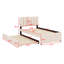 Lit plateforme tapissier avec lit gigogne-2093233527