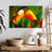 Paradise Toucan-107706077