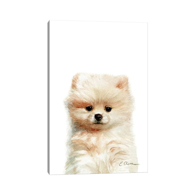 Pomeranian Puppy by Watercolor Luv - Wrapped Canvas Painting, 20.32 cm H x 30.48 cm W
