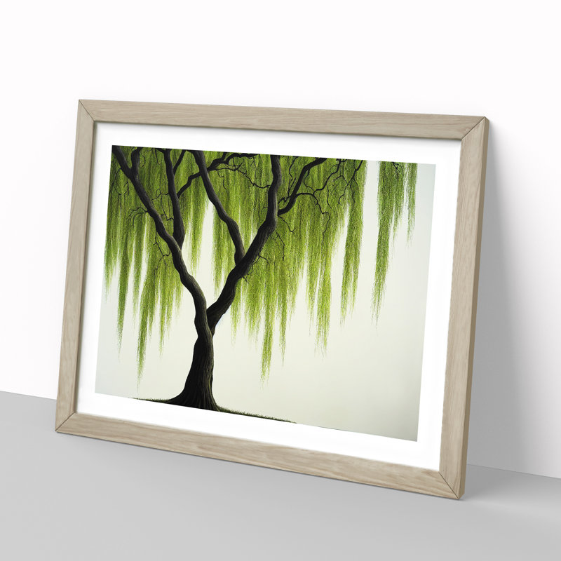Irresistible Weeping Willow Tree - Single Picture Frame Print, Oak, 46cm H x 64cm W x 2cm D