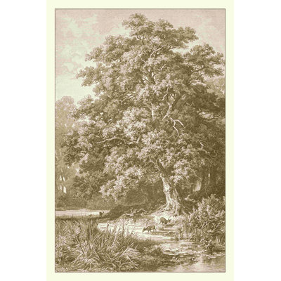" Sepia Oak Tree " by Ernst Heyn