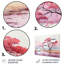 Pink Grey African Landscape Landscape & Nature Wall Decor on Metal
