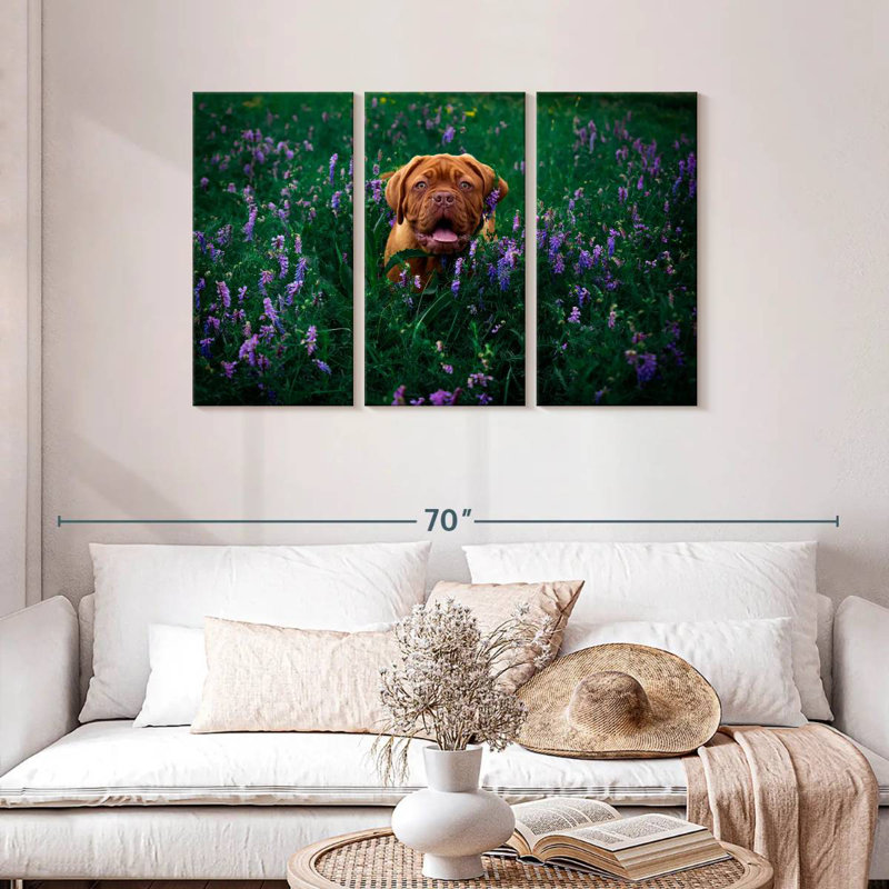 Dogue français Brampt, H 28 po x l 45 po