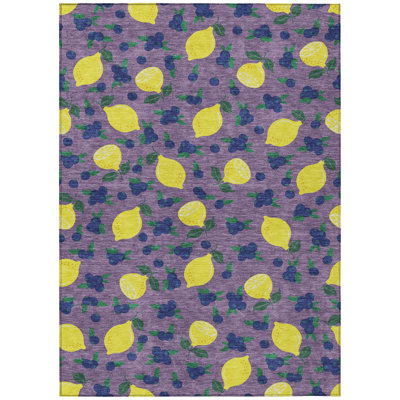 Machine Washable Indoor/Outdoor Skiljo ACN2354 Fruits Rug