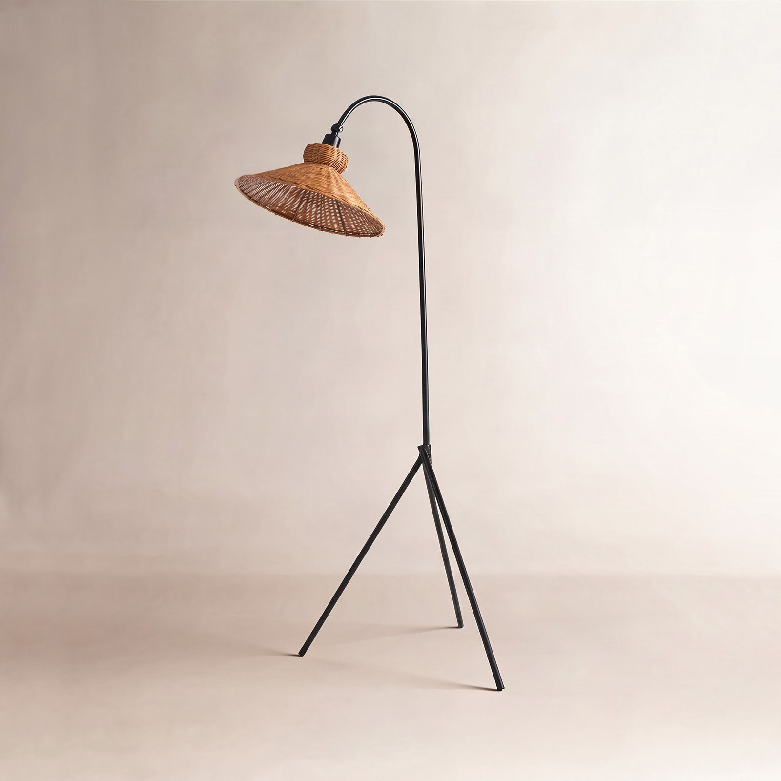 Plumeria 63.75 " Floor Lamp