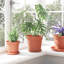Round Flower Pot 6 Pcs Plastic-701502282-701502283