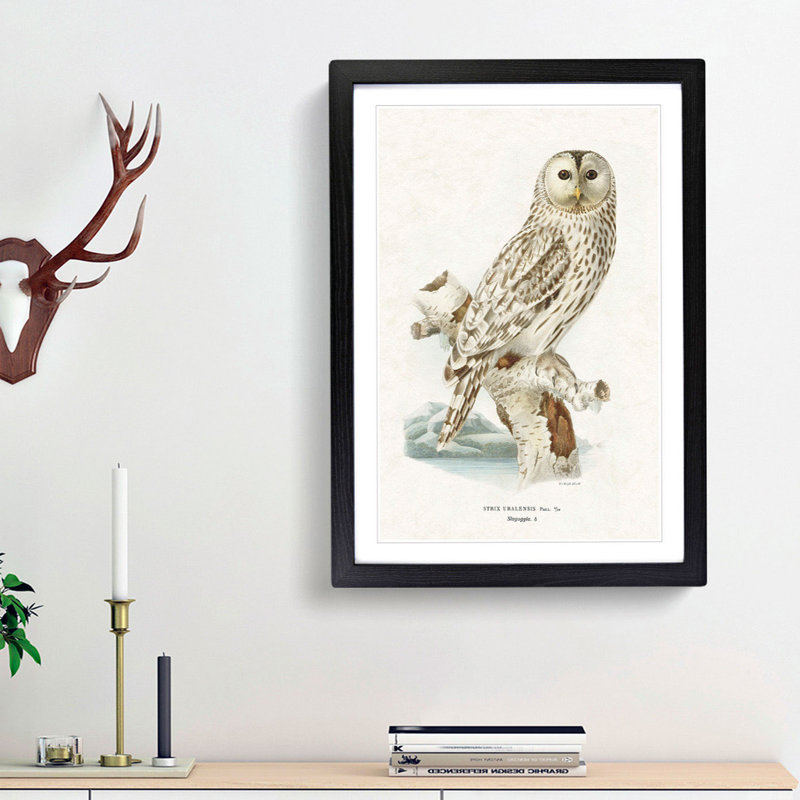 Ural Owl by Von Wright - Picture Frame Graphic Art Print, 36cm H x 27cm W x 2cm D, Black Framed