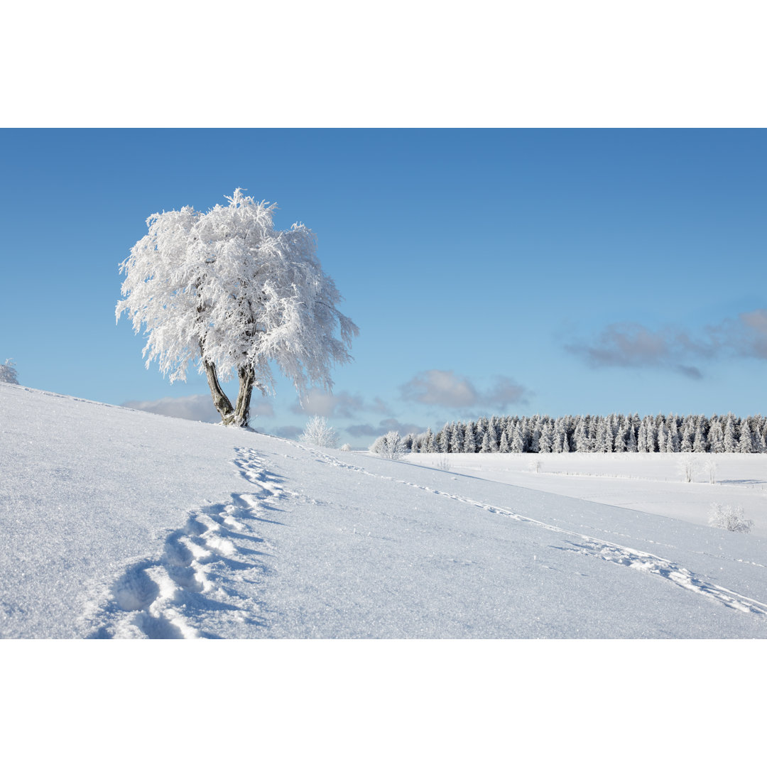 Spur von Fußabdrücken im Schnee