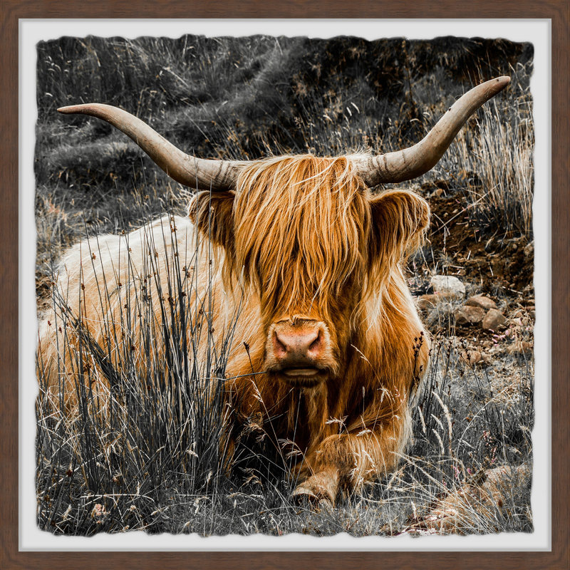 Shaggy Hair - Single Picture Frame Print, 81cm H x 81cm W x 3.81cm D