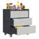 29.5'' W Metal Garage Tool Storage Cabinet with Wheels and 3 Drawers.