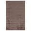 Area Rug in Brown