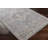 Oriental Indoor Rug-370946417