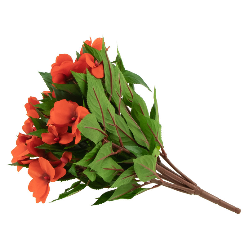 Tige de marguerite