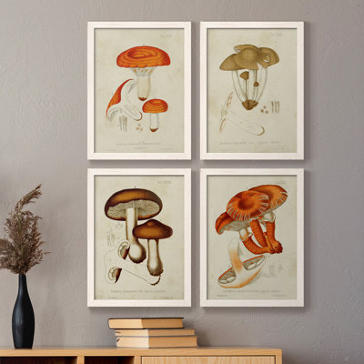 Champignon Variétés Ix - ensemble de 4 reproductions d'art sur toile encadrées